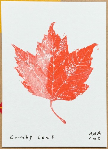 Ana inciardi mini - mini, print