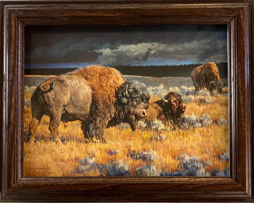 Nancy glazier restless buffalo - nancy,