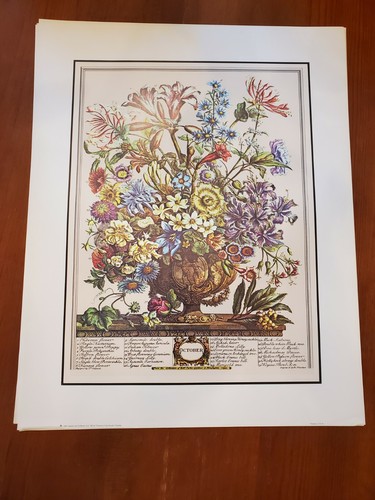Twelve months flowers - twelve, of